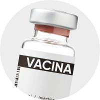 Serviços e Vacinas